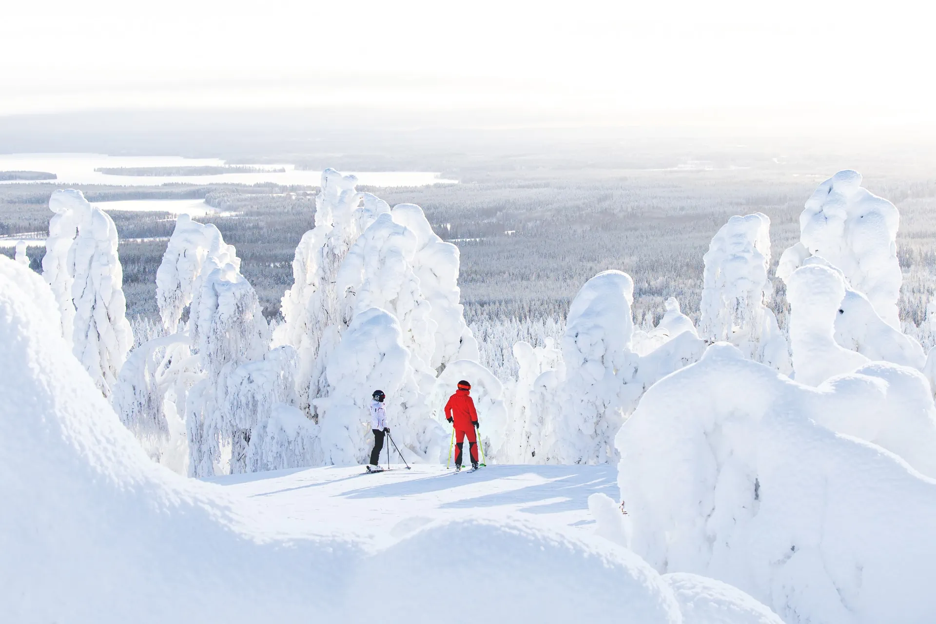 talvi-tykkylumi-maisema-vuokatti.webp