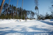 FIS Latvijas Čempionāts 2018 otrias posms, intervāla starts, Foto: Jānis Vīksna