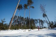 FIS Latvijas Čempionāts 2018 otrias posms, intervāla starts, Foto: Jānis Vīksna