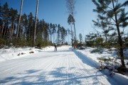 FIS Latvijas Čempionāts 2018 otrias posms, intervāla starts, Foto: Jānis Vīksna