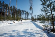 FIS Latvijas Čempionāts 2018 otrias posms, intervāla starts, Foto: Jānis Vīksna