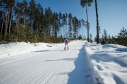 FIS Latvijas Čempionāts 2018 otrias posms, intervāla starts, Foto: Jānis Vīksna