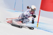 FIS Baltic Cup 2018 3. posms, Igaunijas Čempionāts milzu slalomā, Foto: Emīls Lukšo