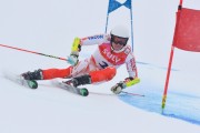 FIS Baltic Cup 2018 3. posms, Igaunijas Čempionāts milzu slalomā, Foto: Emīls Lukšo