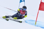 FIS Baltic Cup 2018 3. posms, Igaunijas Čempionāts milzu slalomā, Foto: Emīls Lukšo