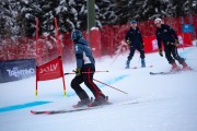 FIS kalnu slēpošanas sacensības GS, Foto: E.Lukšo