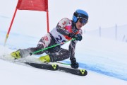 FIS Baltic Cup 2018 3. posms, Igaunijas Čempionāts milzu slalomā, Foto: Emīls Lukšo