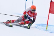 FIS Baltic Cup 2018 3. posms, Igaunijas Čempionāts milzu slalomā, Foto: Emīls Lukšo