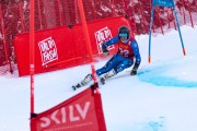 FIS kalnu slēpošanas sacensības GS, Foto: E.Lukšo