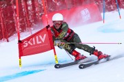 FIS kalnu slēpošanas sacensības GS, Foto: E.Lukšo