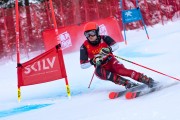 FIS kalnu slēpošanas sacensības GS, Foto: E.Lukšo