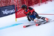 FIS kalnu slēpošanas sacensības GS, Foto: E.Lukšo