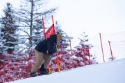 FIS kalnu slēpošanas sacensības GS, Foto: E.Lukšo