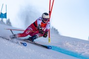 FIS kalnu slēpošanas sacensības GS, Foto: E.Lukšo