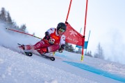 FIS kalnu slēpošanas sacensības GS, Foto: E.Lukšo