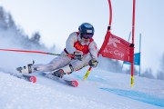 FIS kalnu slēpošanas sacensības GS, Foto: E.Lukšo