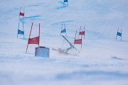 FIS kalnu slēpošanas sacensības GS, Foto: E.Lukšo