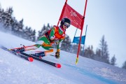 FIS kalnu slēpošanas sacensības GS, Foto: E.Lukšo