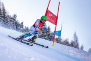 FIS kalnu slēpošanas sacensības GS, Foto: E.Lukšo