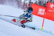 FIS kalnu slēpošanas sacensības GS, Foto: E.Lukšo