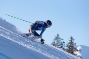 FIS kalnu slēpošanas sacensības GS, Foto: E.Lukšo