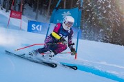 FIS kalnu slēpošanas sacensības GS, Foto: E.Lukšo