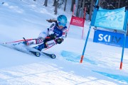 FIS kalnu slēpošanas sacensības GS, Foto: E.Lukšo