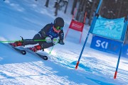 FIS kalnu slēpošanas sacensības GS, Foto: E.Lukšo