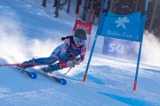 FIS kalnu slēpošanas sacensības GS, Foto: E.Lukšo