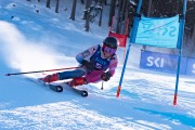 FIS kalnu slēpošanas sacensības GS, Foto: E.Lukšo