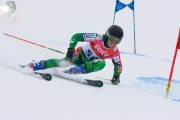 FIS Baltic Cup 2018 3. posms, Igaunijas Čempionāts milzu slalomā, Foto: Emīls Lukšo