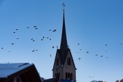 FIS kalnu slēpošanas sacensības SL, Foto: E.Lukšo