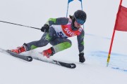 FIS Baltic Cup 2018 3. posms, Igaunijas Čempionāts milzu slalomā, Foto: Emīls Lukšo