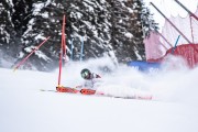 FIS kalnu slēpošanas sacensības SL, Foto: E.Lukšo