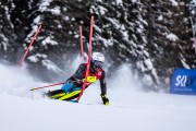 FIS kalnu slēpošanas sacensības SL, Foto: E.Lukšo