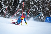 FIS kalnu slēpošanas sacensības SL, Foto: E.Lukšo