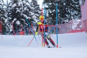 FIS kalnu slēpošanas sacensības SL, Foto: E.Lukšo