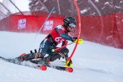 FIS kalnu slēpošanas sacensības SL, Foto: E.Lukšo