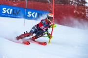 FIS kalnu slēpošanas sacensības SL, Foto: E.Lukšo