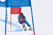 FIS Baltic Cup 2018 3. posms, Igaunijas Čempionāts milzu slalomā, Foto: Emīls Lukšo