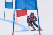 FIS Baltic Cup 2018 3. posms, Igaunijas Čempionāts milzu slalomā, Foto: Emīls Lukšo