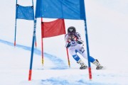 FIS Baltic Cup 2018 3. posms, Igaunijas Čempionāts milzu slalomā, Foto: Emīls Lukšo