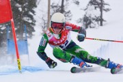 FIS Baltic Cup 2018 3. posms, Igaunijas Čempionāts milzu slalomā, Foto: Emīls Lukšo