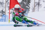 FIS Baltic Cup 2018 3. posms, Igaunijas Čempionāts milzu slalomā, Foto: Emīls Lukšo