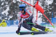 FIS Baltic Cup 2018 3. posms, Igaunijas Čempionāts milzu slalomā, Foto: Emīls Lukšo