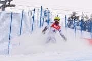 FIS Baltic Cup 2018 3. posms, Igaunijas Čempionāts milzu slalomā, Foto: Emīls Lukšo