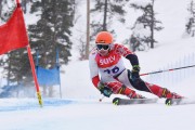 FIS Baltic Cup 2018 3. posms, Igaunijas Čempionāts milzu slalomā, Foto: Emīls Lukšo