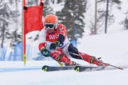 FIS Baltic Cup 2018 3. posms, Igaunijas Čempionāts milzu slalomā, Foto: Emīls Lukšo