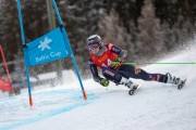 FIS Baltijas kauss 2024 2. posms, FIS Latvijas čempionāts GS, Foto: E.Lukšo