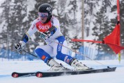 FIS Baltic Cup 2018 3. posms, Igaunijas Čempionāts milzu slalomā, Foto: Emīls Lukšo